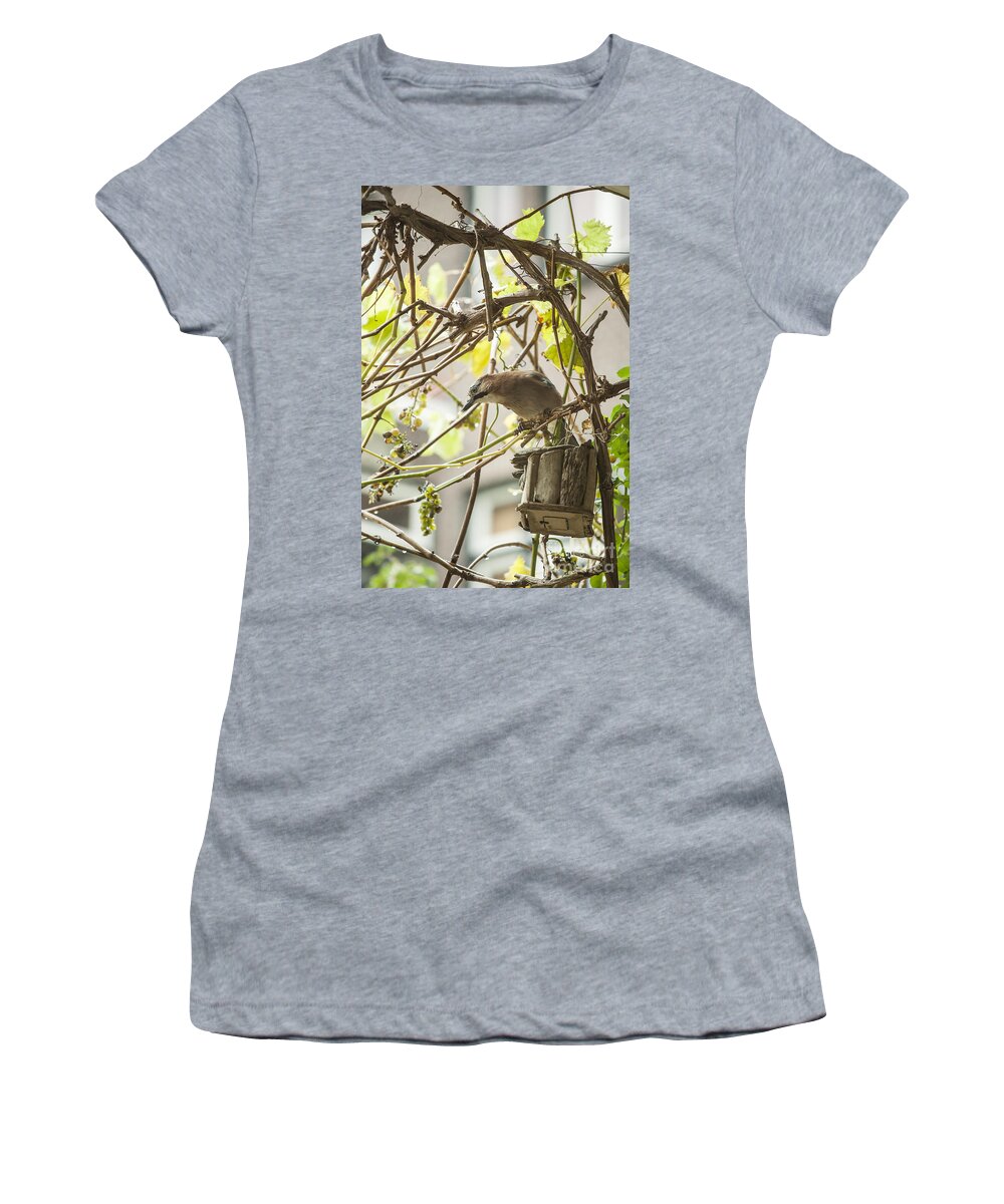 Bird Women's T-Shirt featuring the photograph Eurasian jay by Patricia Hofmeester