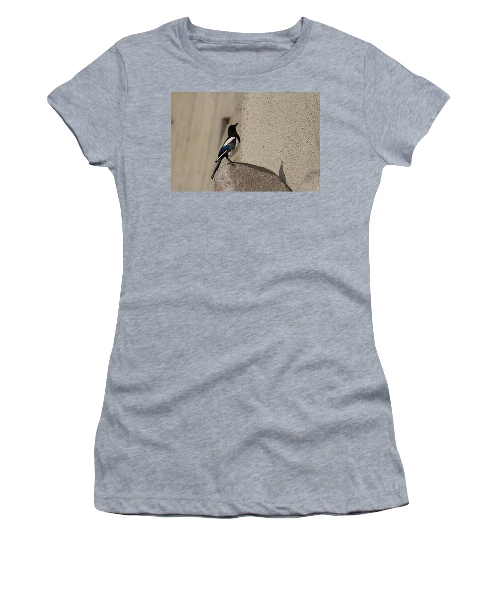 Magpie Women's T-Shirt featuring the photograph Eurasian magpie by Eti Reid