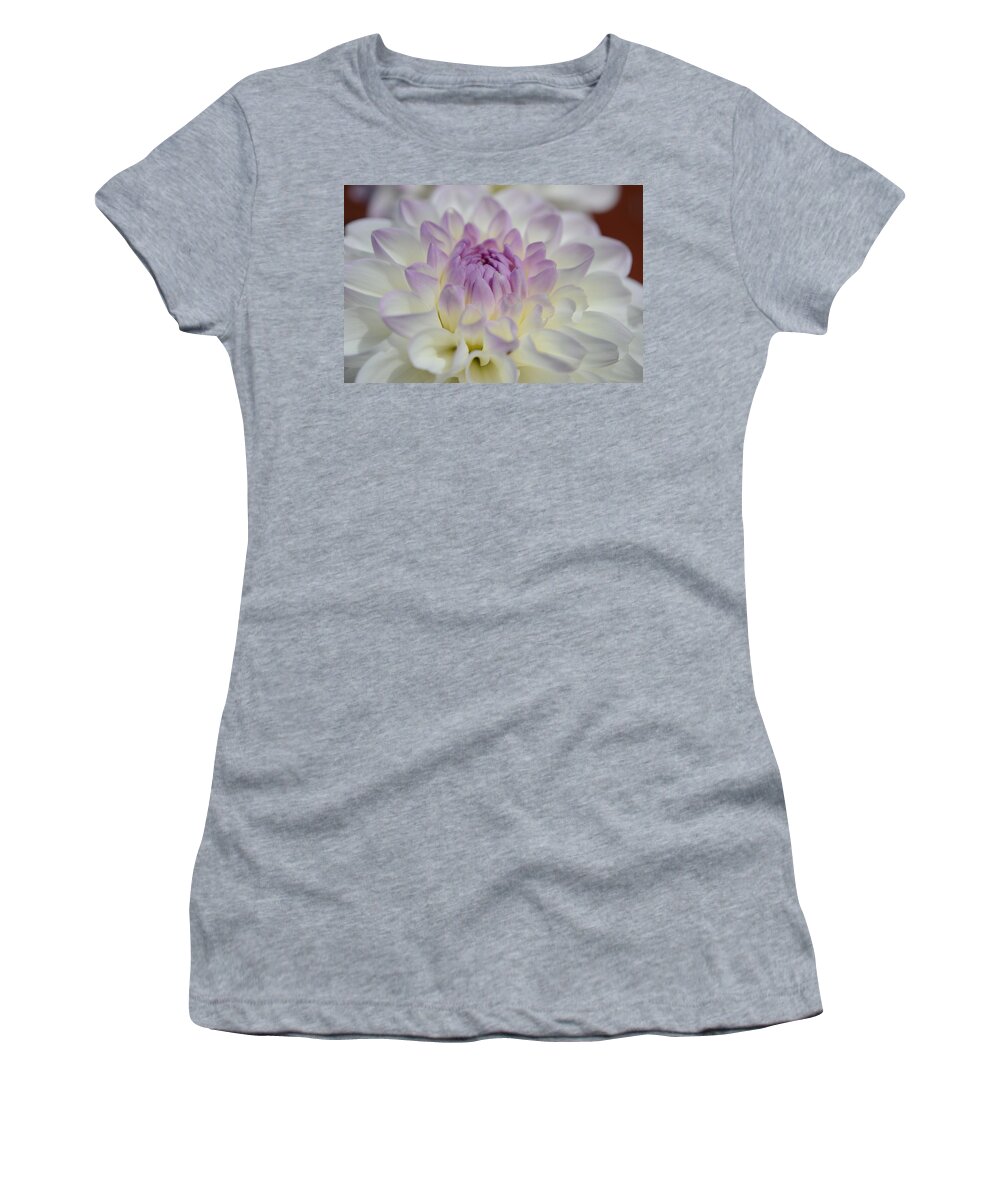 Dahlia Women's T-Shirt featuring the photograph Evelyn's Dahlia by Kathy Paynter