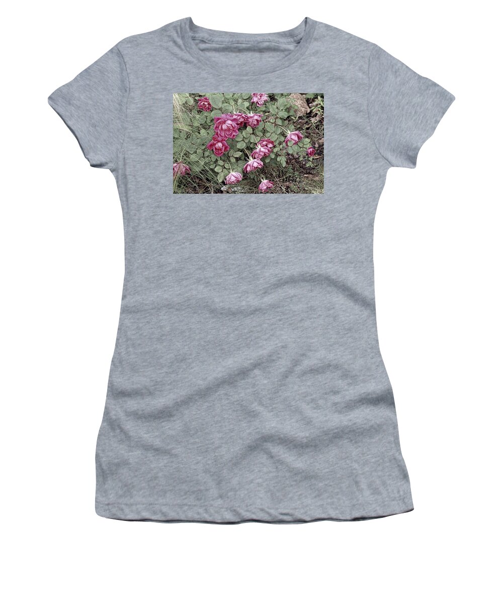 Roses Women's T-Shirt featuring the photograph Fallin' Roses by Bonnie Willis
