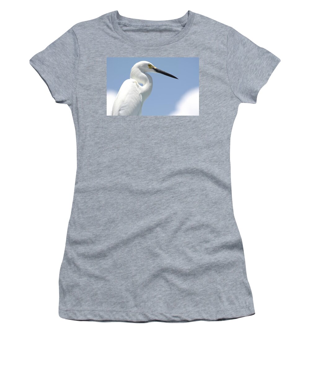 Herron Women's T-Shirt featuring the photograph Feathers by Andrea Platt