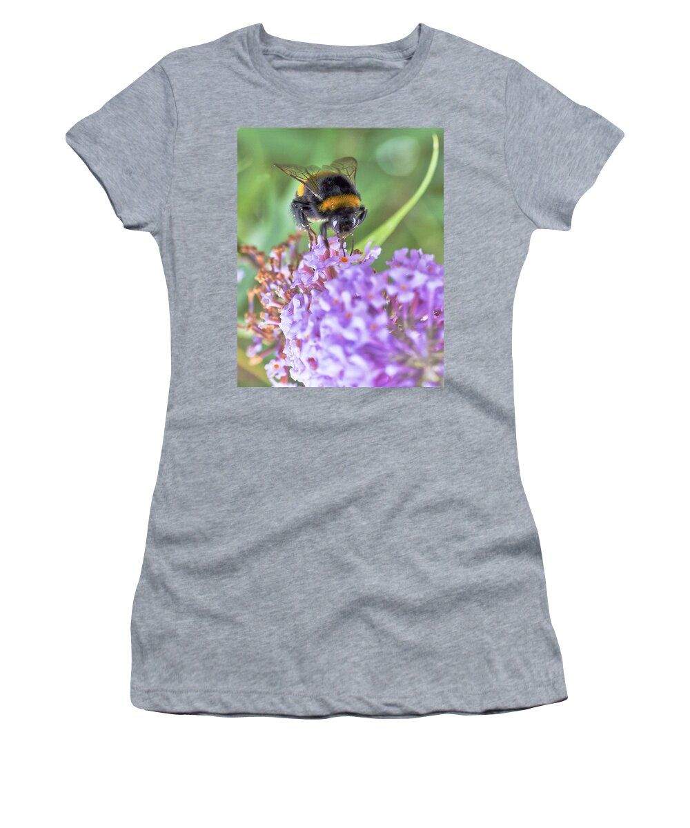 Honey Bee Women's T-Shirt featuring the photograph Feeding and Pollinating Bee by Maj Seda