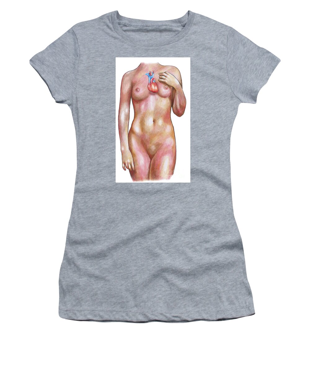 Science Women's T-Shirt featuring the photograph Female Body With Heart by Gwen Shockey