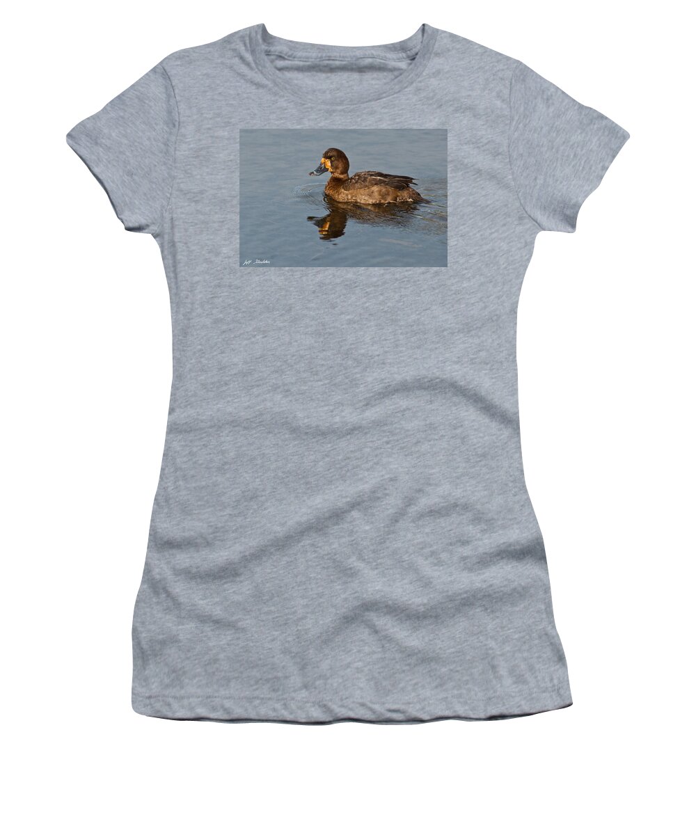 Animal Women's T-Shirt featuring the photograph Female Greater Scaup by Jeff Goulden
