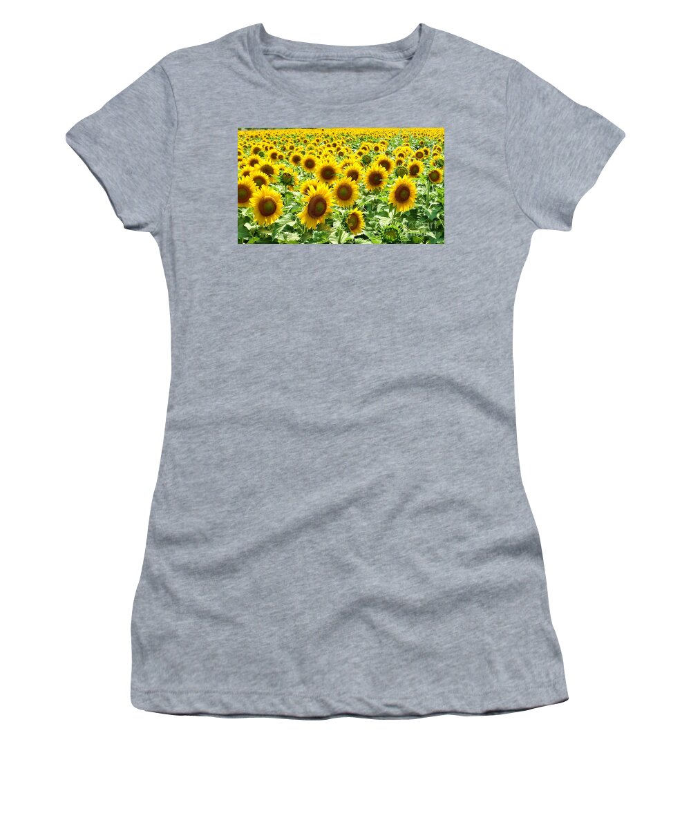 Sunflower Women's T-Shirt featuring the photograph Field of Glory by Robert ONeil