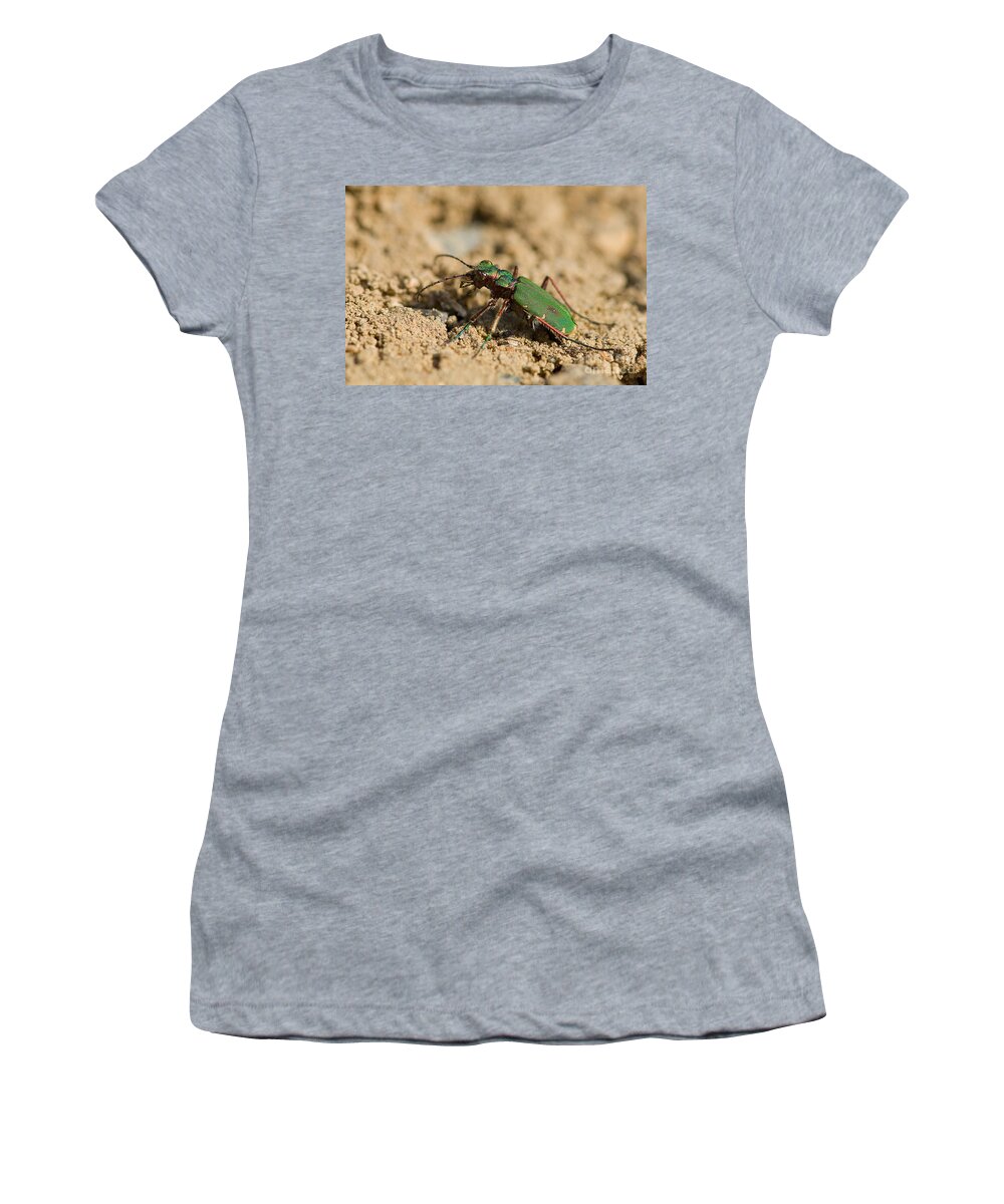 Field Tiger Beetle Women's T-Shirt featuring the photograph Field Tiger Beetle by Steen Drozd Lund
