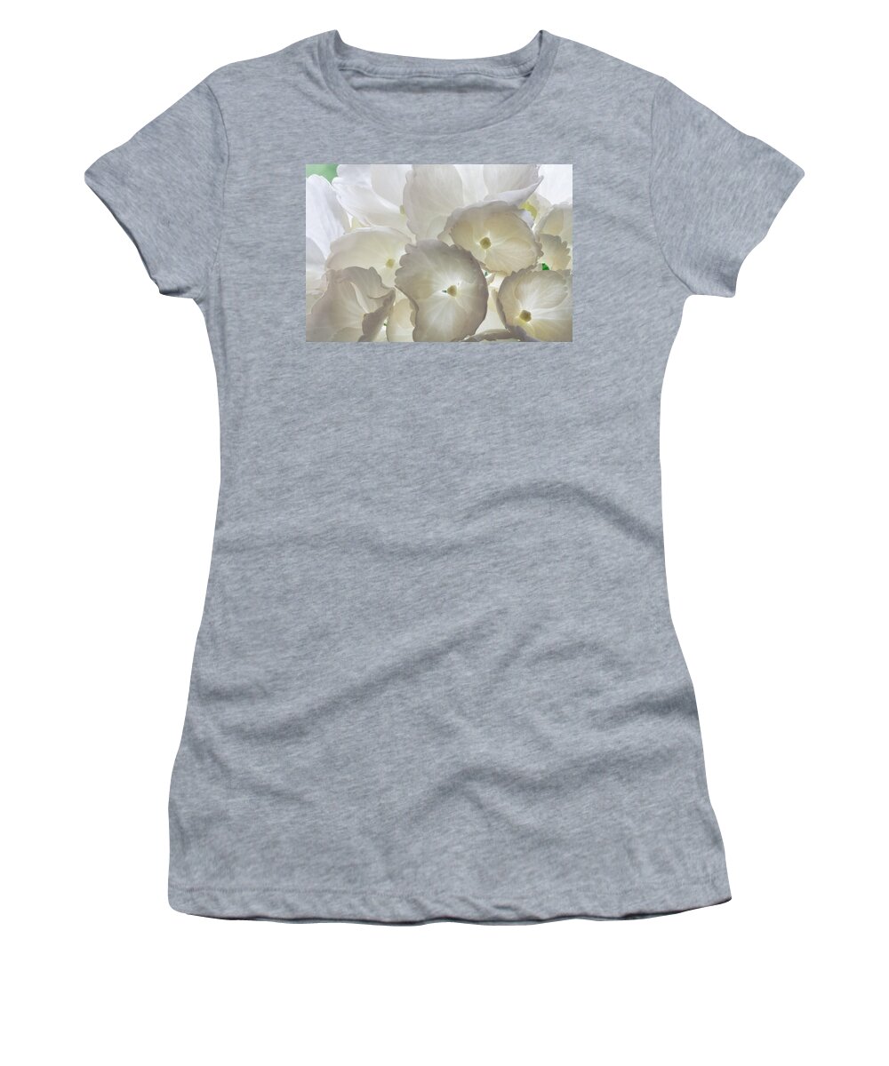 Hydrangea Women's T-Shirt featuring the photograph Filtered Light by Shirley Mitchell