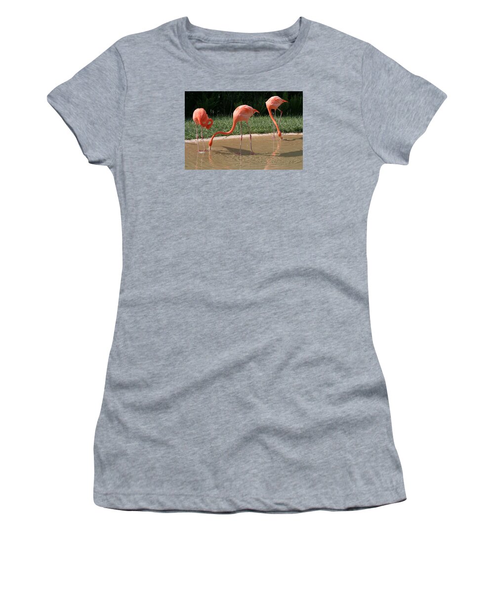 Birds Women's T-Shirt featuring the photograph 3 Flamingos drinking water by Valerie Collins