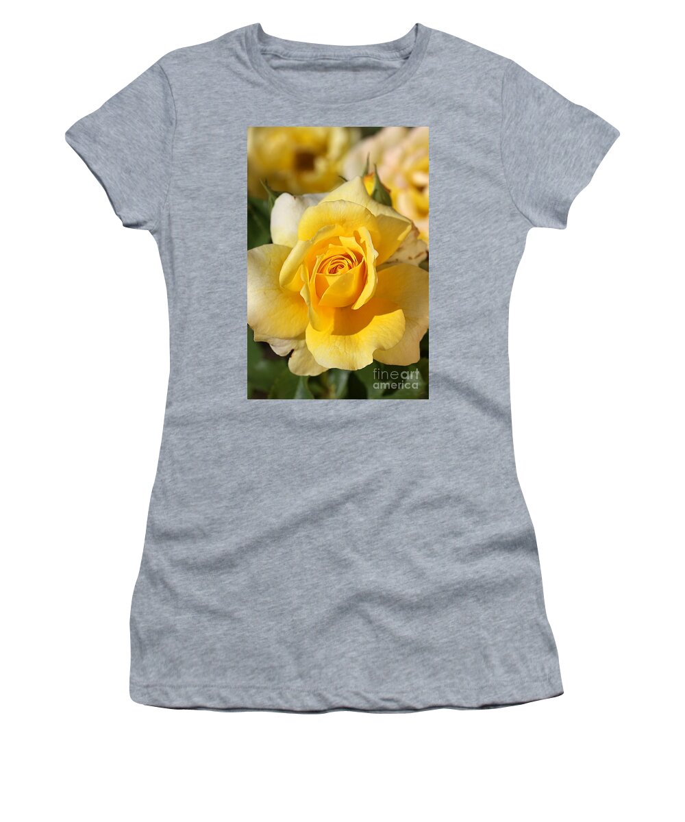 Floribunda Rose Women's T-Shirt featuring the photograph Flower-yellow Rose-delight by Joy Watson