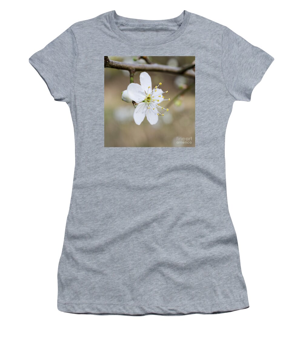 Flower Women's T-Shirt featuring the photograph Flowering cherry blossom by Steev Stamford