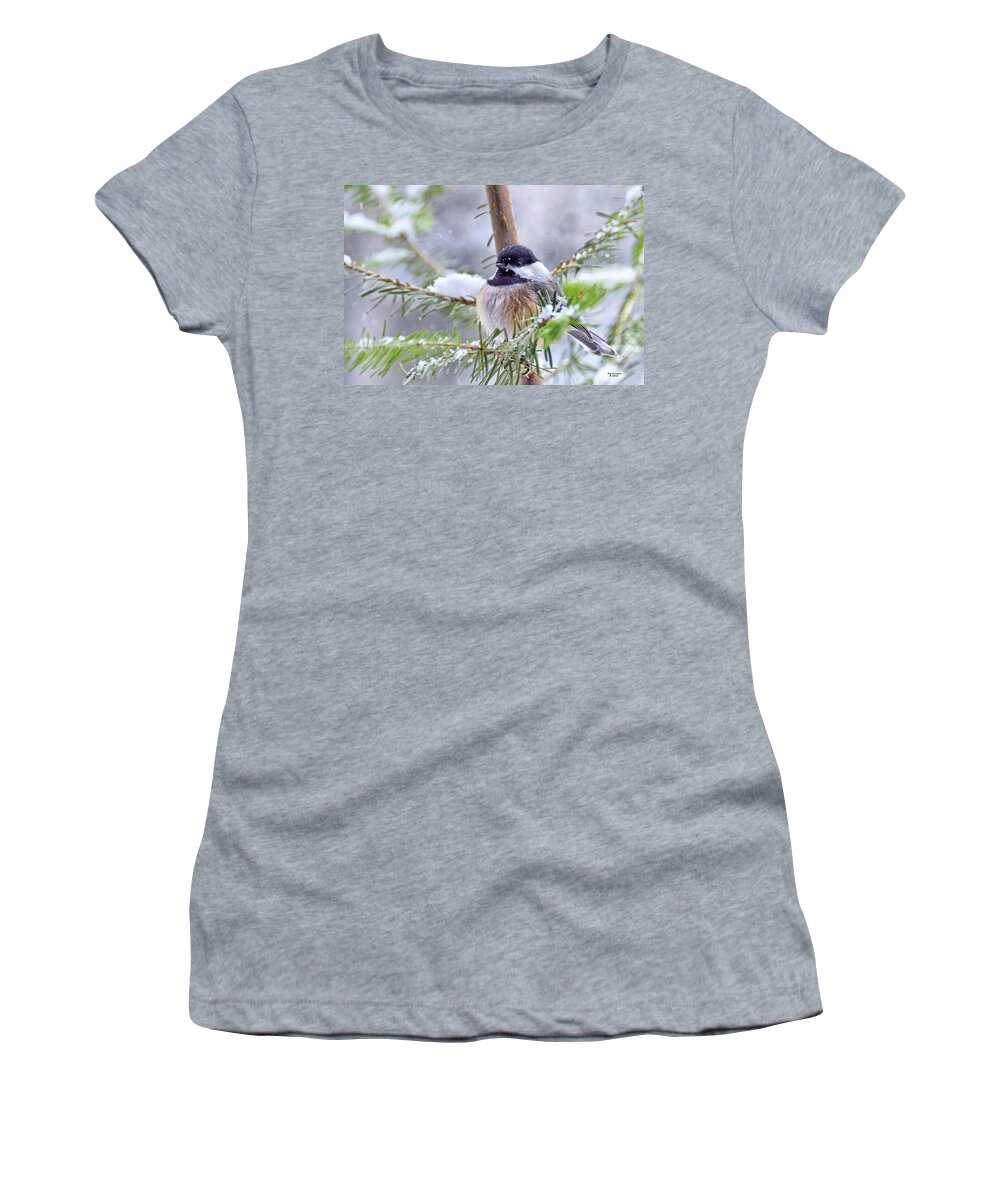 Chickadee Women's T-Shirt featuring the photograph Fluffy Chickadee by Peg Runyan