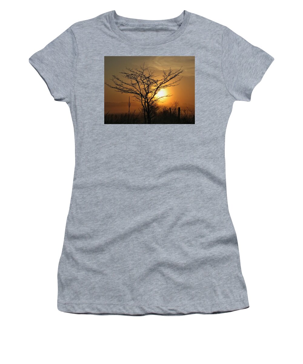 Farmer Women's T-Shirt featuring the photograph Foggy Crabapple Tree by Dale Kauzlaric