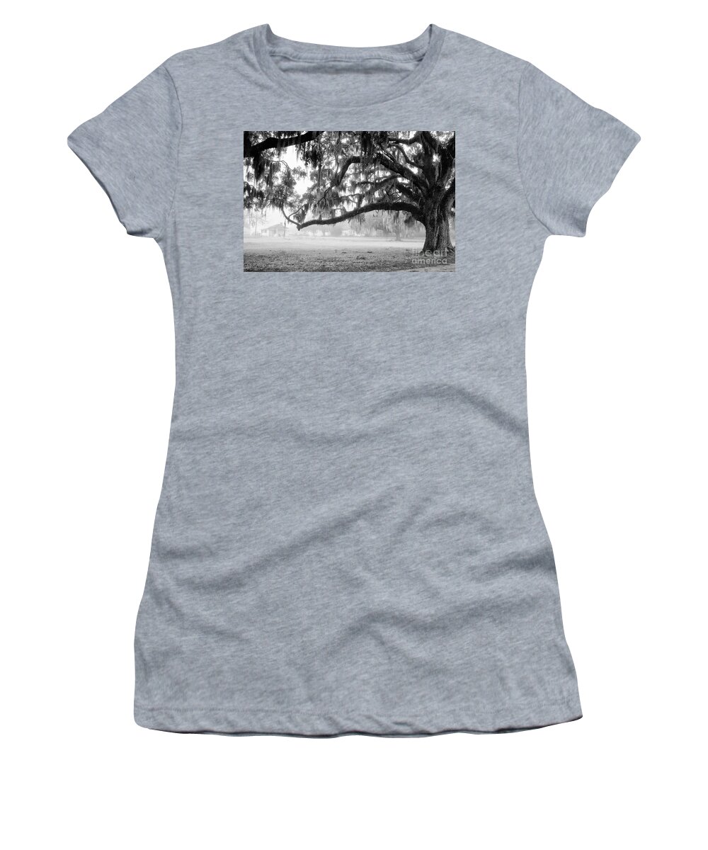 Live Oak Women's T-Shirt featuring the photograph Foggy Morning on Coosaw Plantation by Scott Hansen