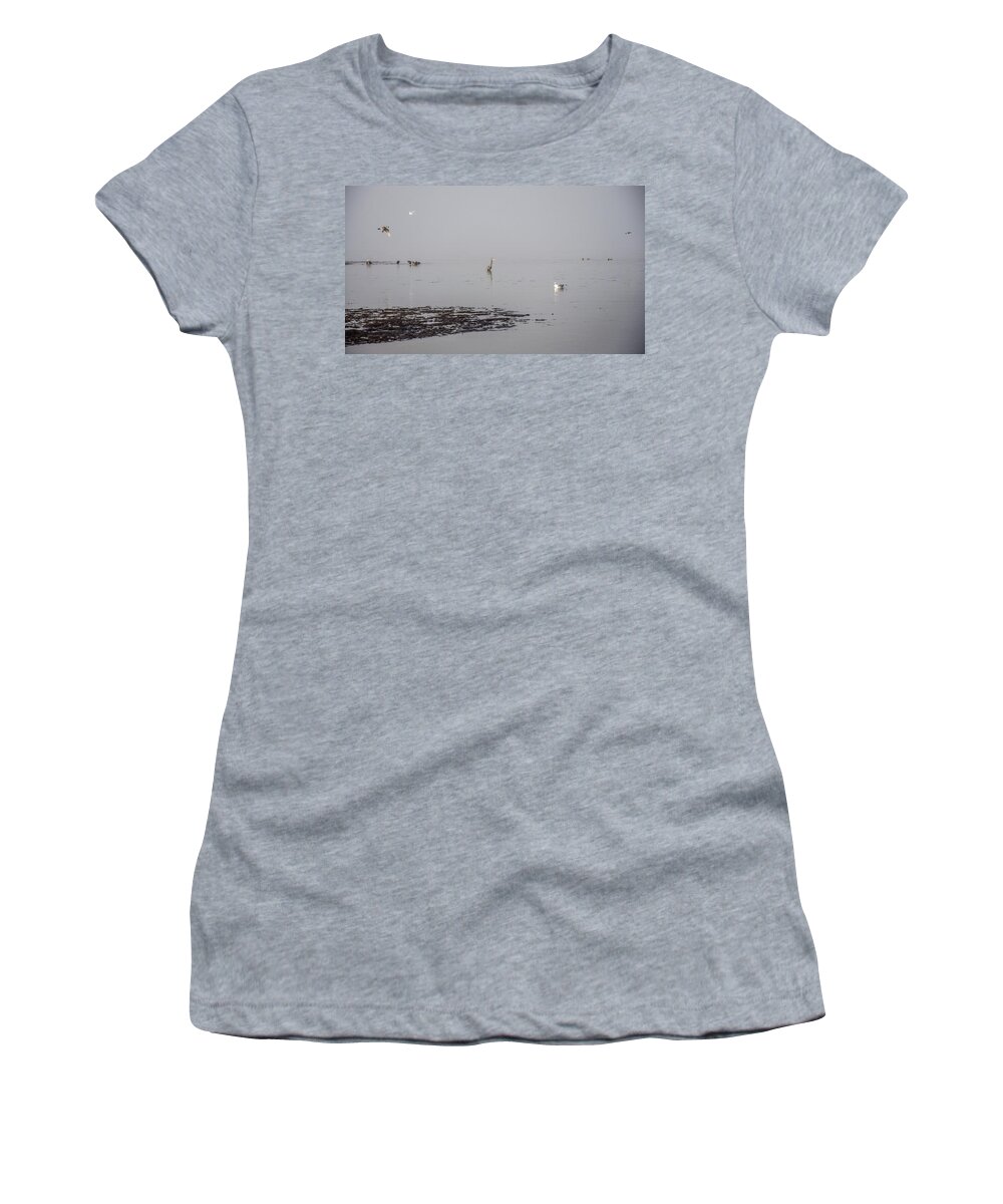 Fog Women's T-Shirt featuring the photograph Foggy Seabird Gathering by Roxy Hurtubise