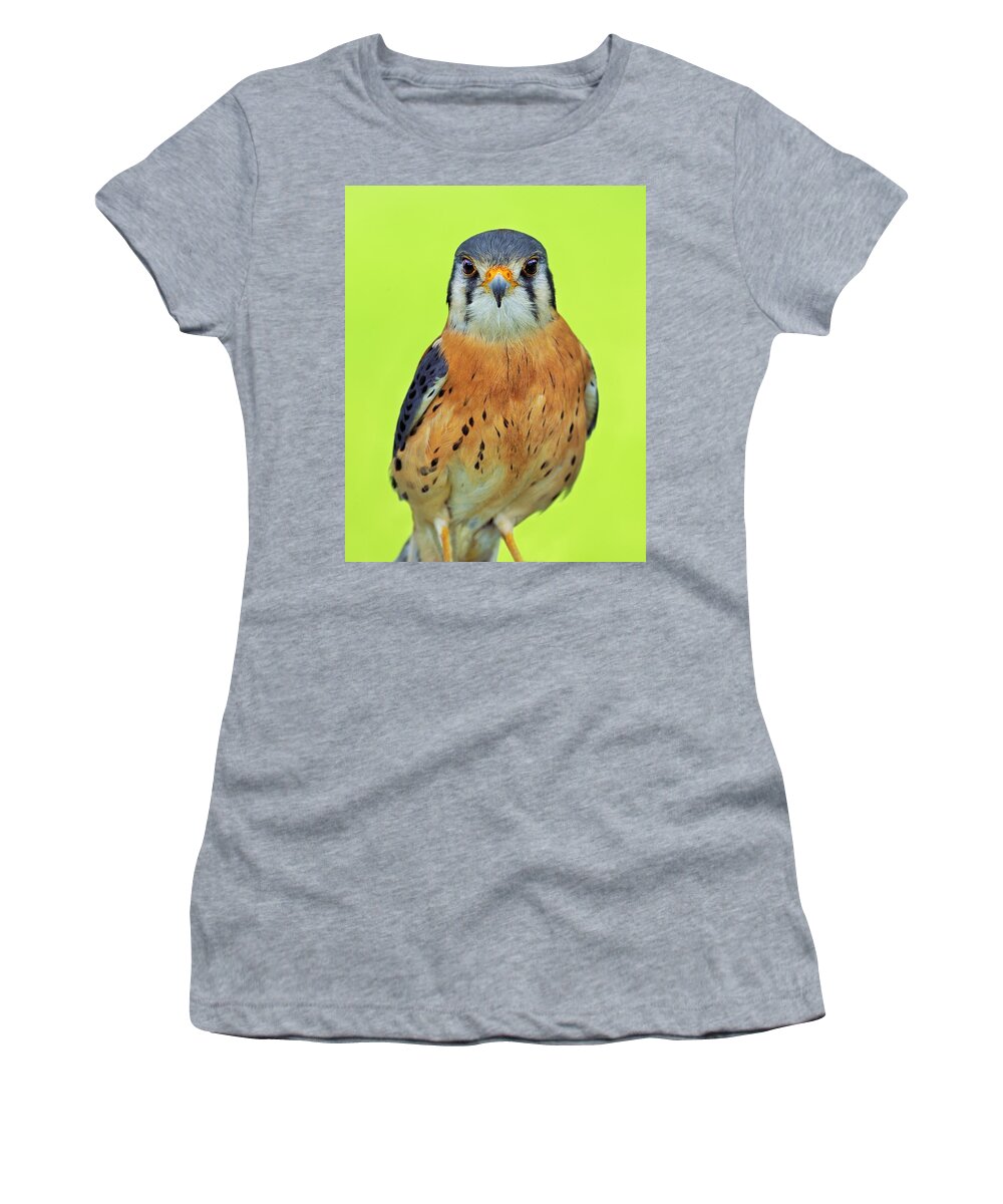 American Kestrel Women's T-Shirt featuring the photograph Forward Focus by Tony Beck
