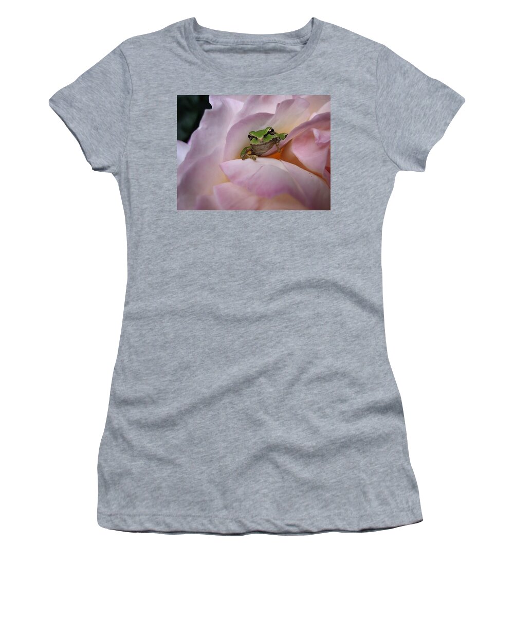 Chorus Frog Women's T-Shirt featuring the photograph Frog and Rose photo 1 by Cheryl Hoyle