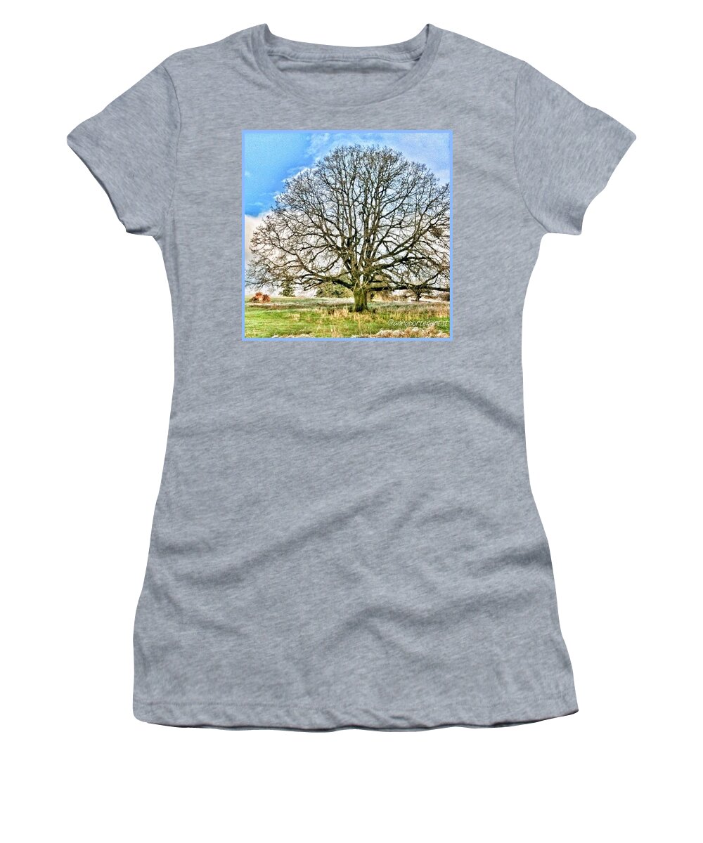 Instanaturelover Women's T-Shirt featuring the photograph Frosted Oak - Chilly Day At The Barn On by Anna Porter