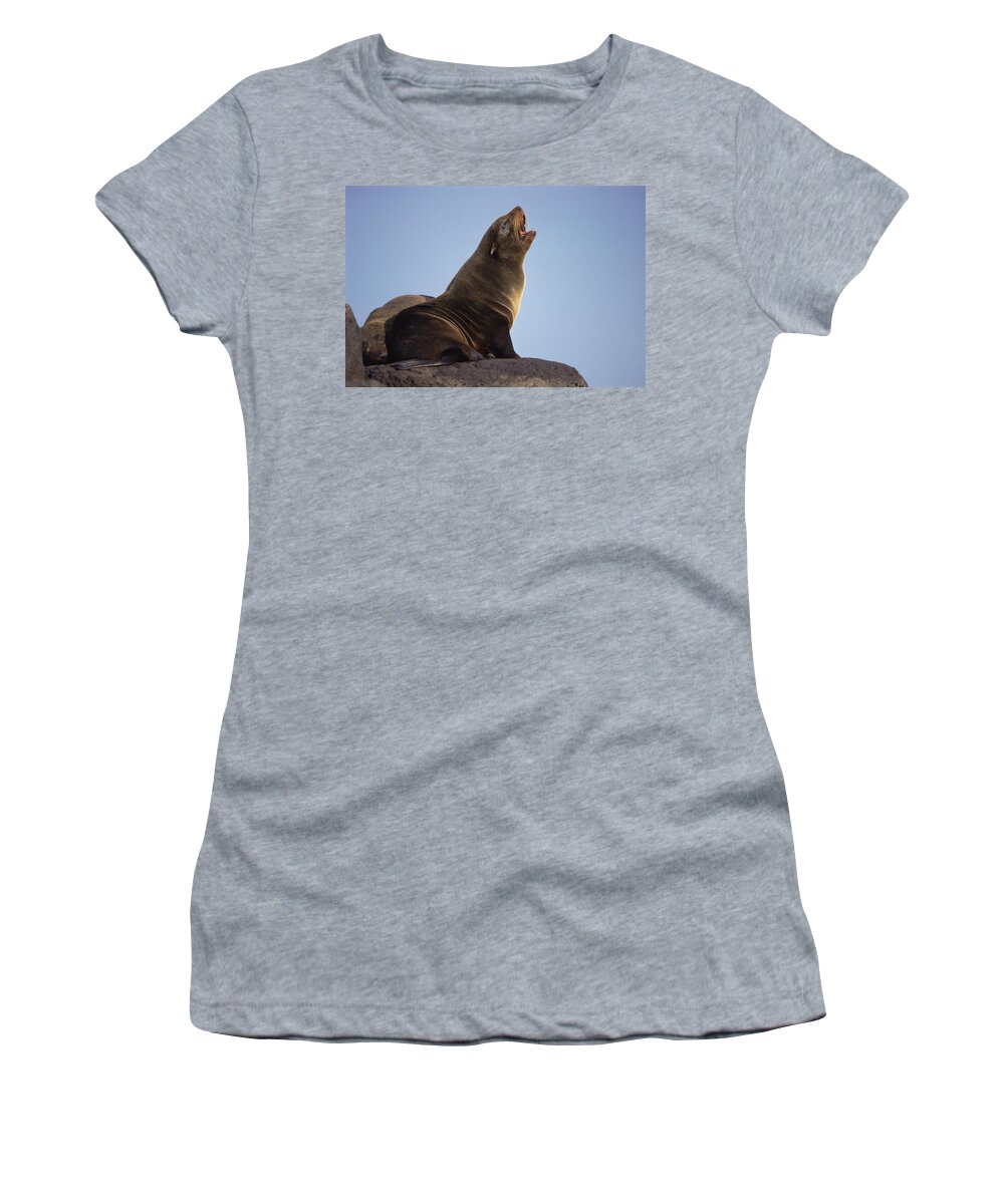 Feb0514 Women's T-Shirt featuring the photograph Galapagos Fur Seal Calling For Her Pup by Tui De Roy