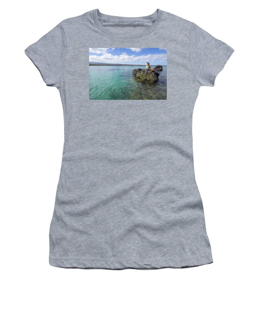 Tui De Roy Women's T-Shirt featuring the photograph Galapagos Sea Lion Elizabeth Bay by Tui De Roy