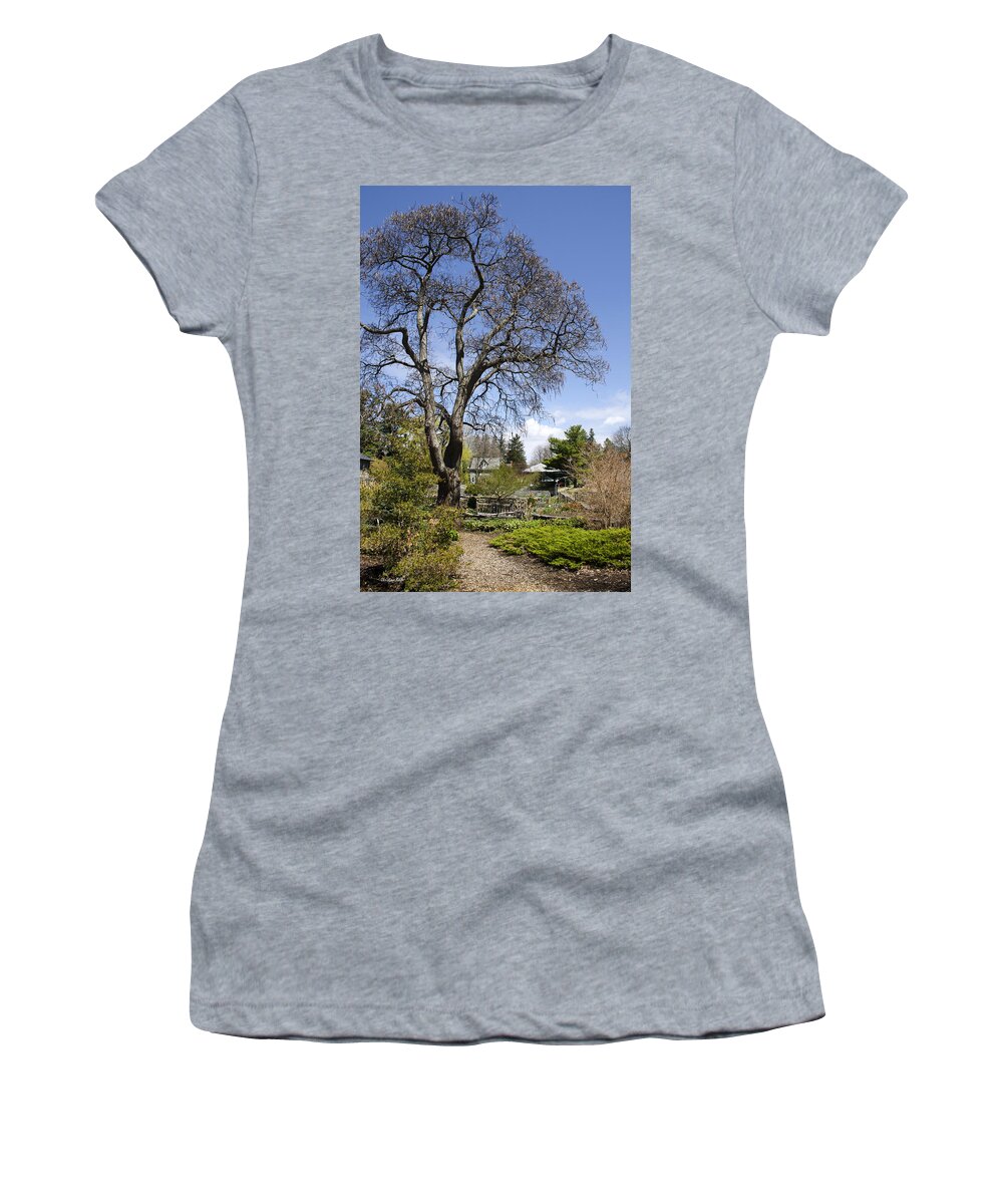 Garden Women's T-Shirt featuring the photograph Botanical Garden Landscape #2 by Christina Rollo