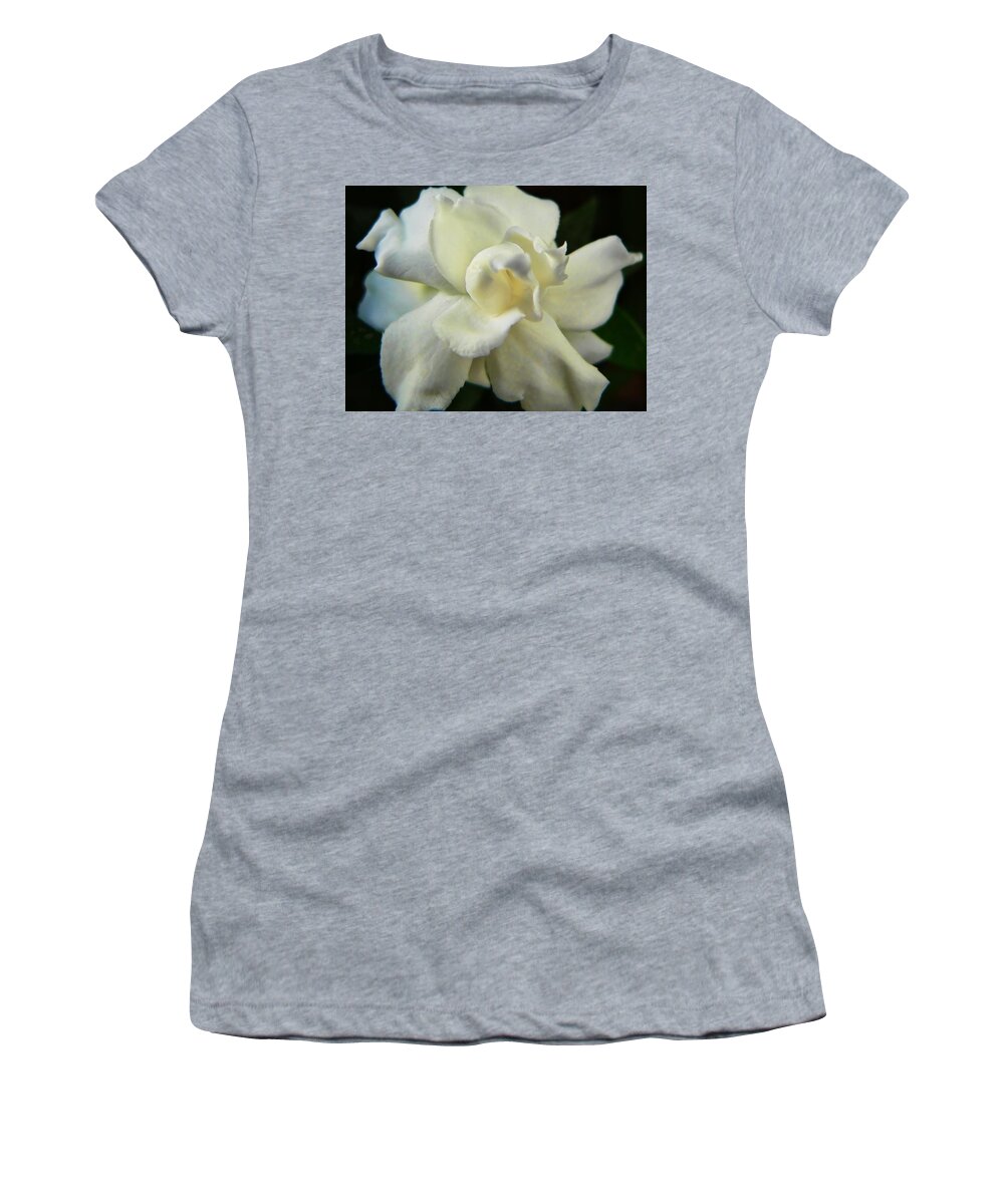 Gardenia Women's T-Shirt featuring the photograph Gardenia by Steve Ondrus