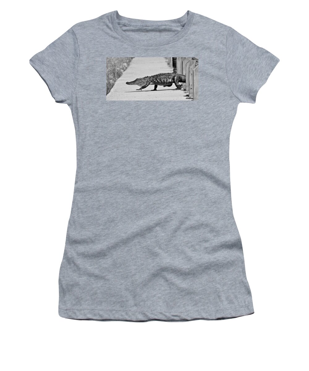 Alligator Women's T-Shirt featuring the photograph Gator Walking by Cynthia Guinn