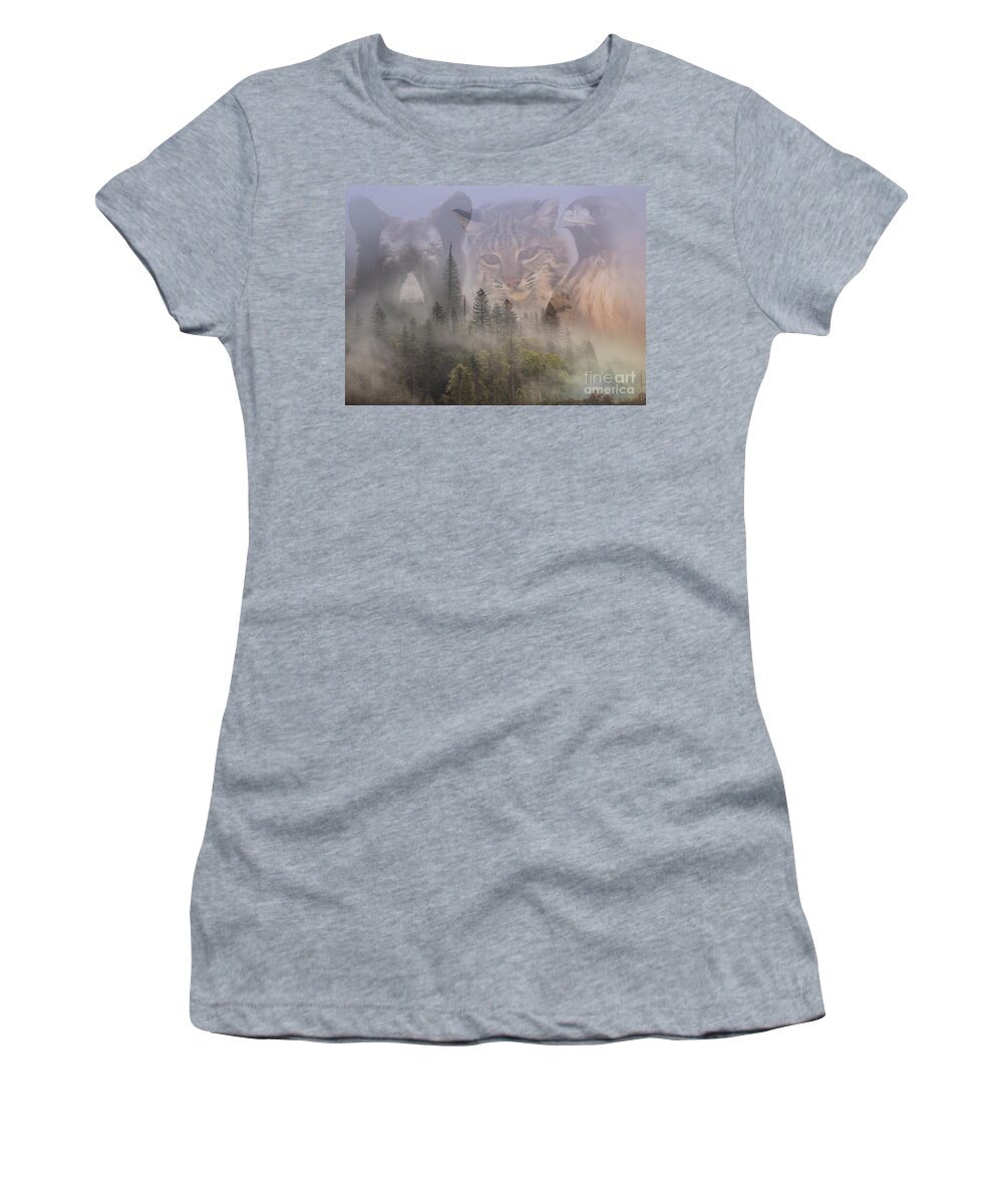 Bear Women's T-Shirt featuring the photograph Bear, Bobcat and Hawk in Forest by Stephanie Laird
