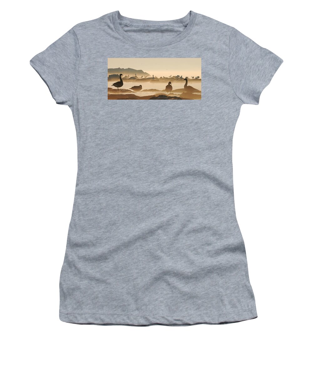 Goose Women's T-Shirt featuring the photograph Geese and Gulls by Rick Shea