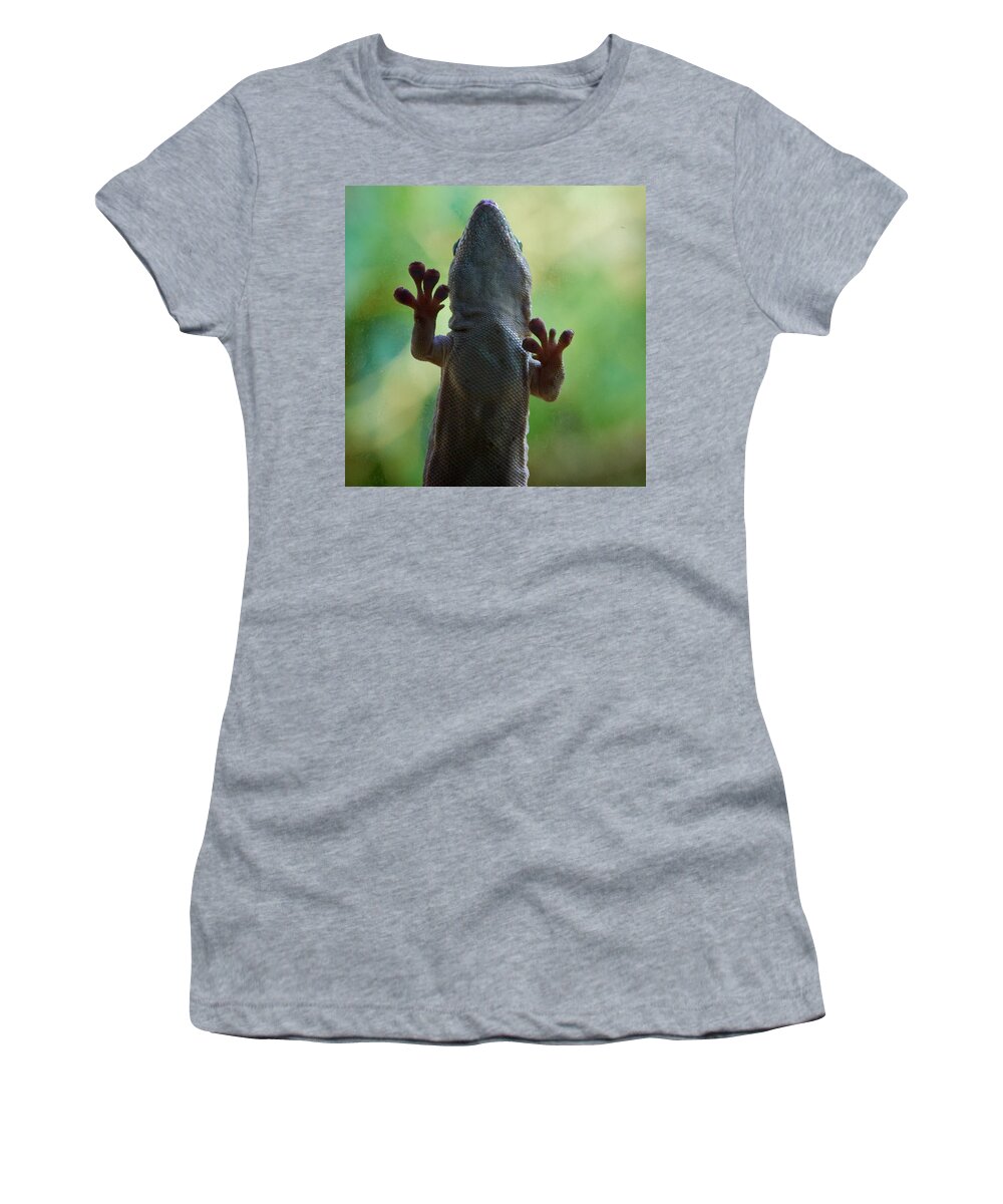 2013. Women's T-Shirt featuring the photograph Gekko gecko by Jouko Lehto