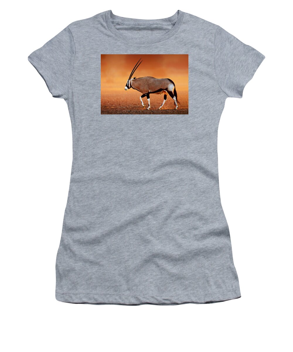 Gemsbok Women's T-Shirt featuring the photograph Gemsbok on desert plains at sunset by Johan Swanepoel