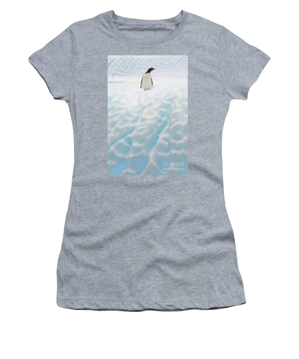 00345883 Women's T-Shirt featuring the photograph Gentoo Penguin On Blue Iceberg by Yva Momatiuk John Eastcott