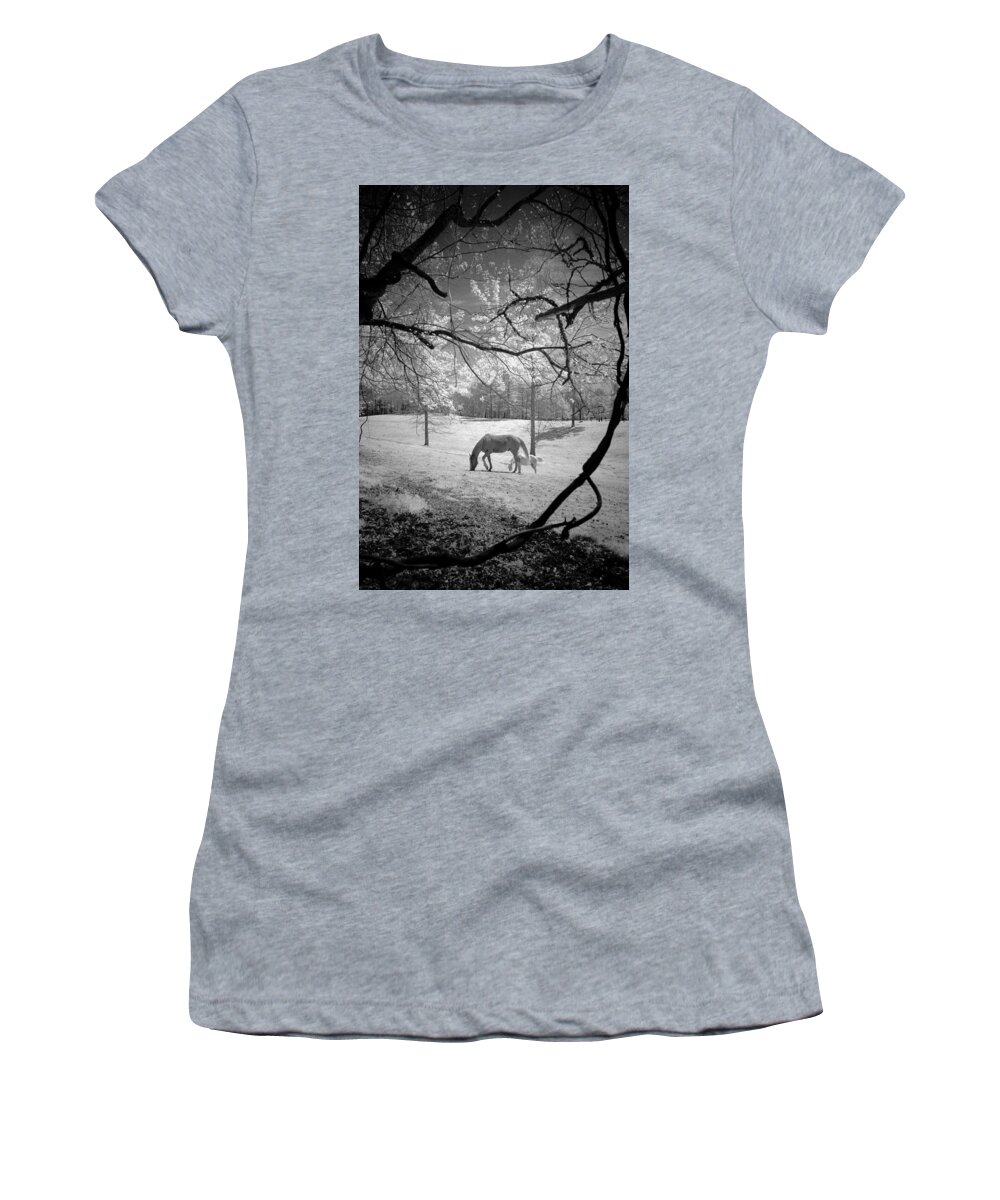 Horse Women's T-Shirt featuring the photograph Georgia Horses by Bradley R Youngberg