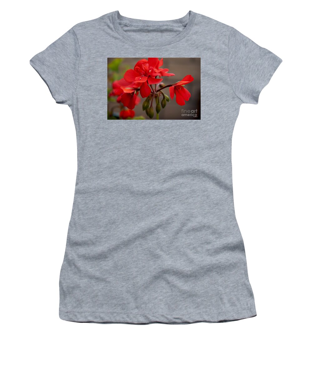 Flower Women's T-Shirt featuring the photograph Geranium by Ivete Basso Photography