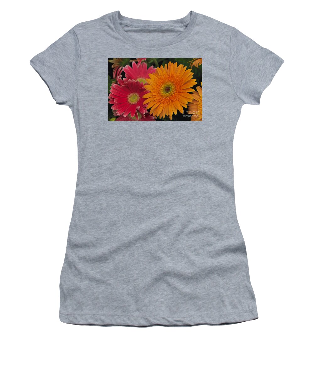 Pink Women's T-Shirt featuring the photograph Gerbera by William Norton