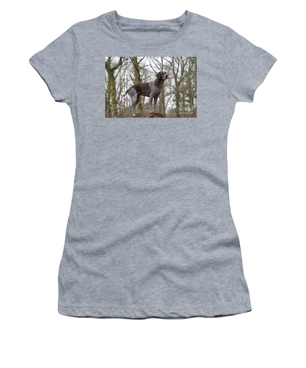 Dog Women's T-Shirt featuring the photograph German Short-haired Pointer by John Daniels