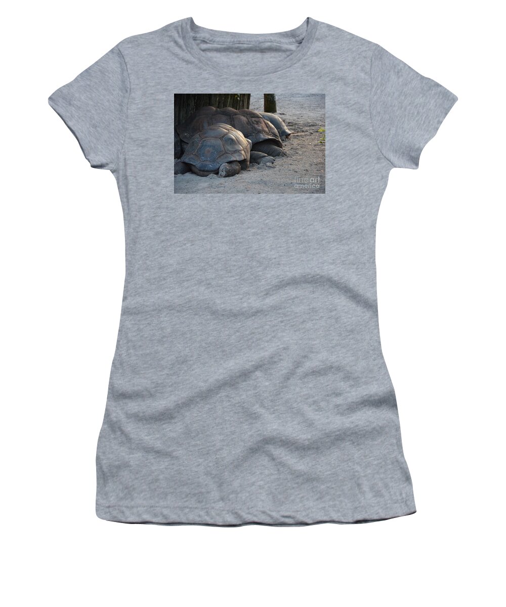 Aldabra Tortise Women's T-Shirt featuring the photograph Giant Tortise by Robert Meanor