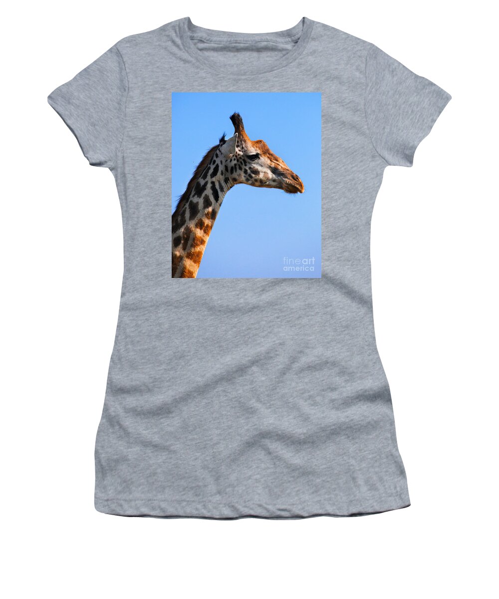Giraffe Women's T-Shirt featuring the photograph Giraffe portrait close-up. Safari in Serengeti. Tanzania by Michal Bednarek