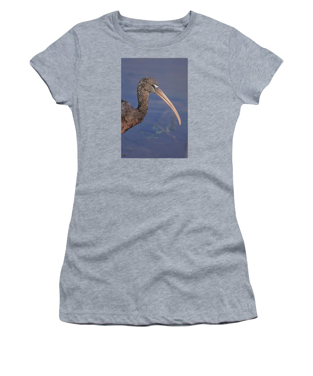 Ibis Women's T-Shirt featuring the photograph Glossy Ibis Headshot by John Harmon