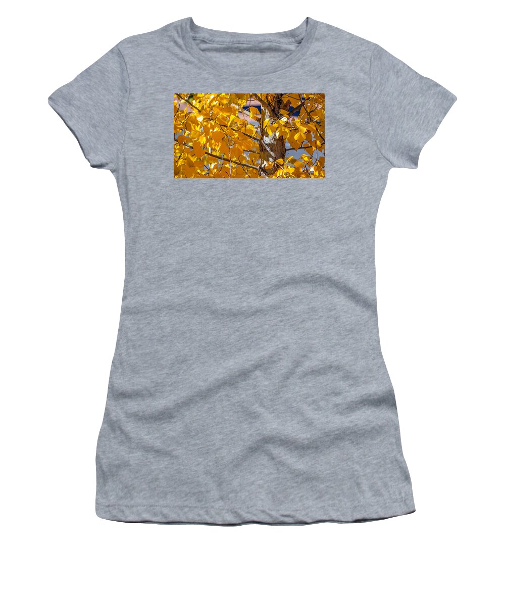 Tree Women's T-Shirt featuring the photograph Gold Tree by David Downs