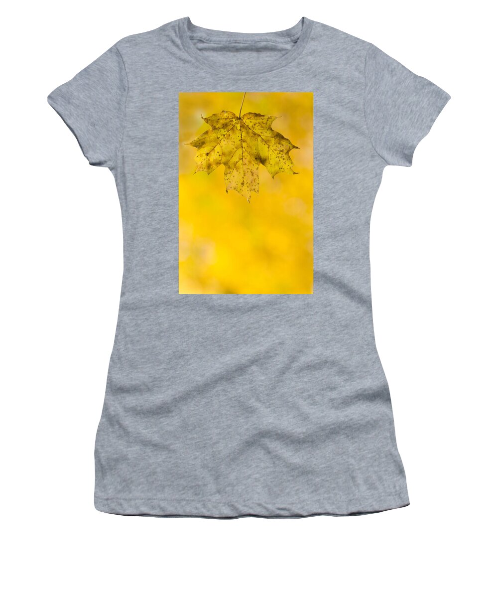 Fall Women's T-Shirt featuring the photograph Golden Autumn by Sebastian Musial