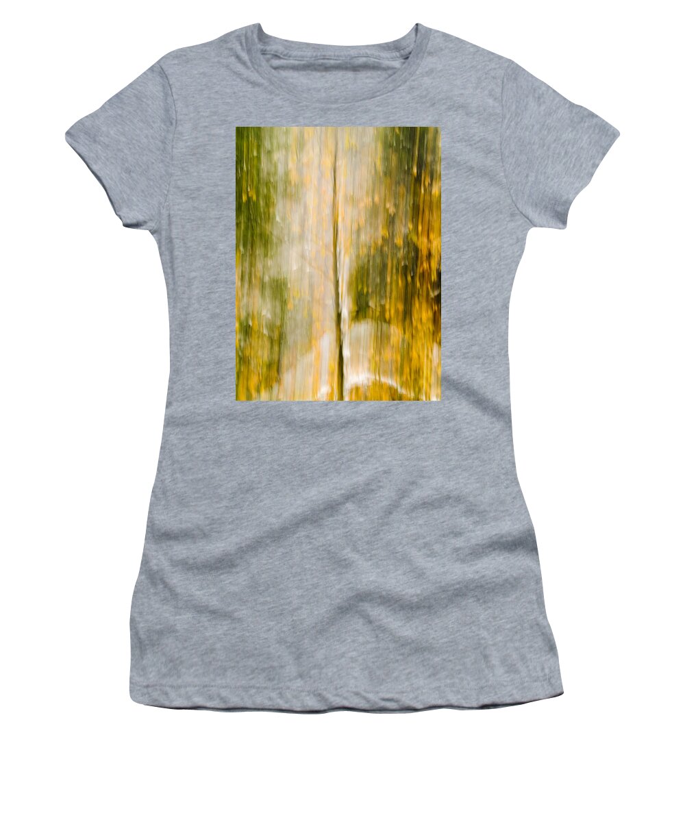 Trees Women's T-Shirt featuring the photograph Golden Falls by Bill Gallagher
