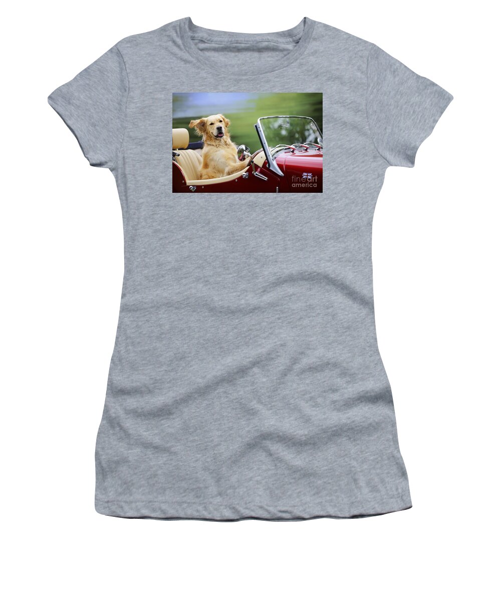 Golden Retriever Women's T-Shirt featuring the photograph Golden Retriever In Car by John Daniels