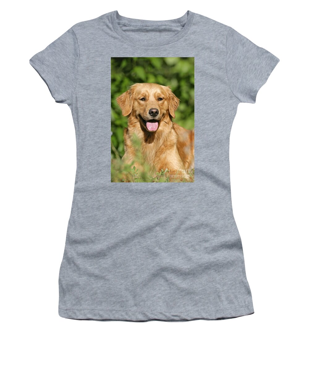 Dog Women's T-Shirt featuring the photograph Golden Retriever by Rolf Kopfle