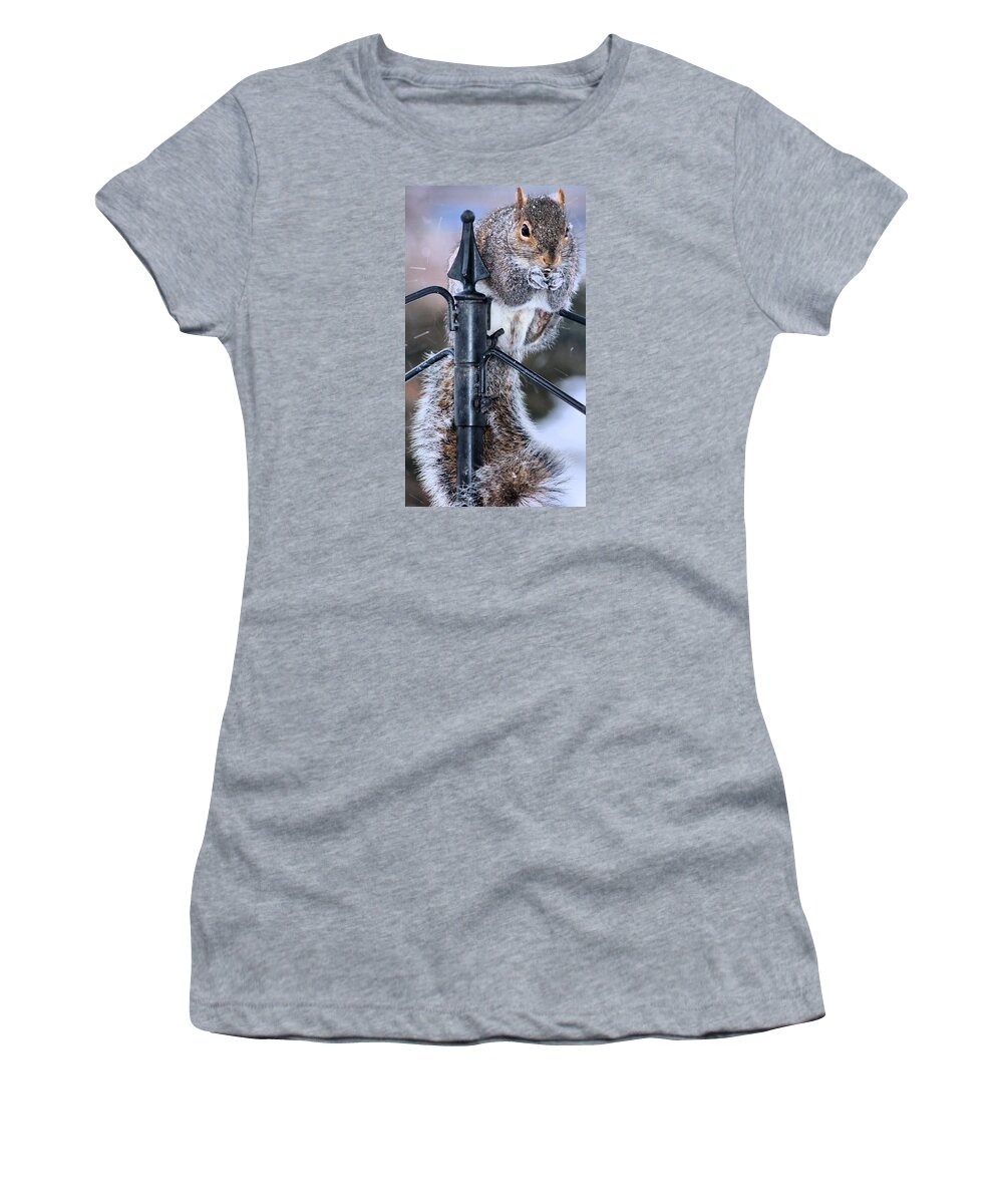 Squirrel Women's T-Shirt featuring the photograph Got to love Them by Carol Montoya