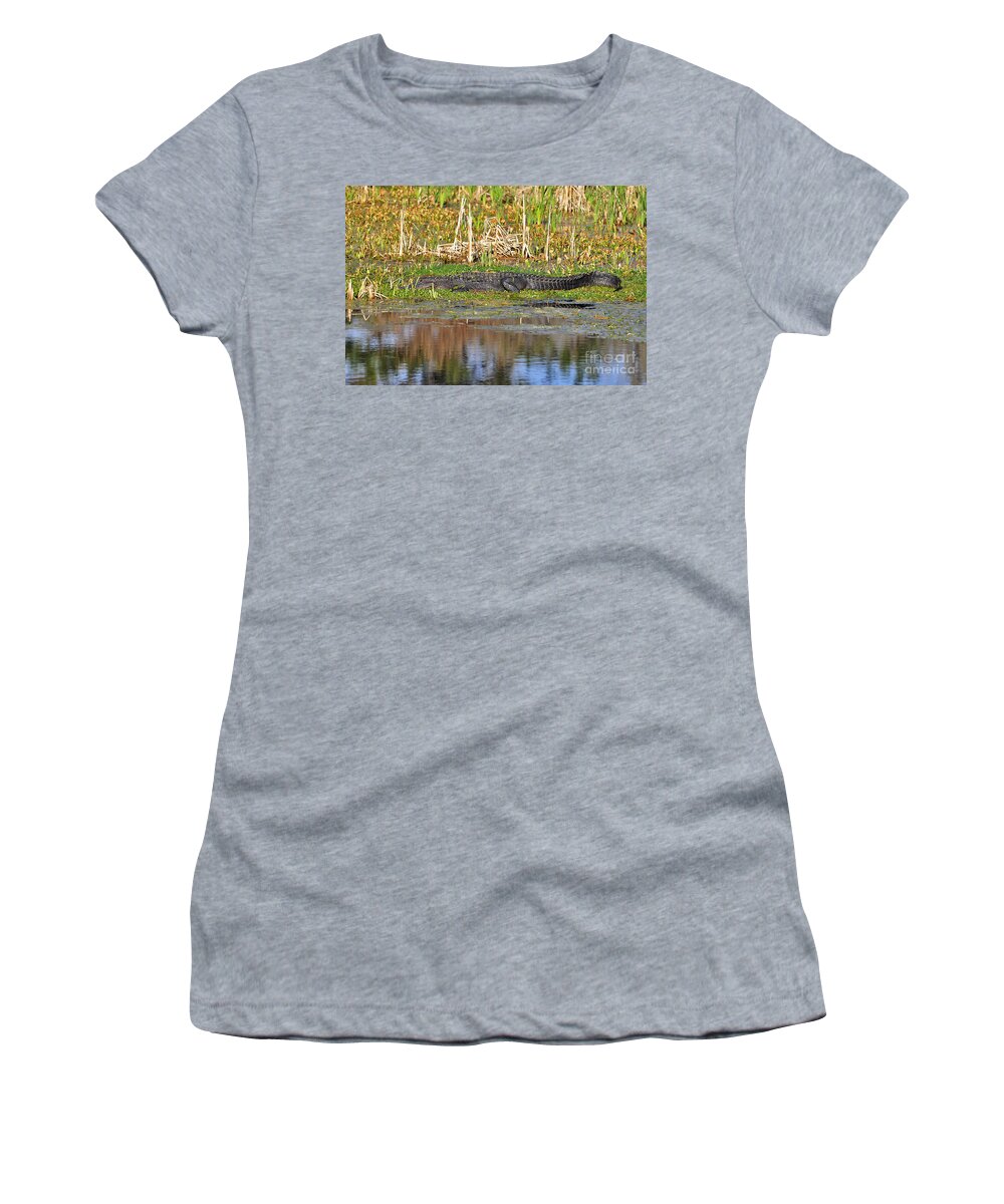 Alligator Women's T-Shirt featuring the photograph Grand Gator by Al Powell Photography USA