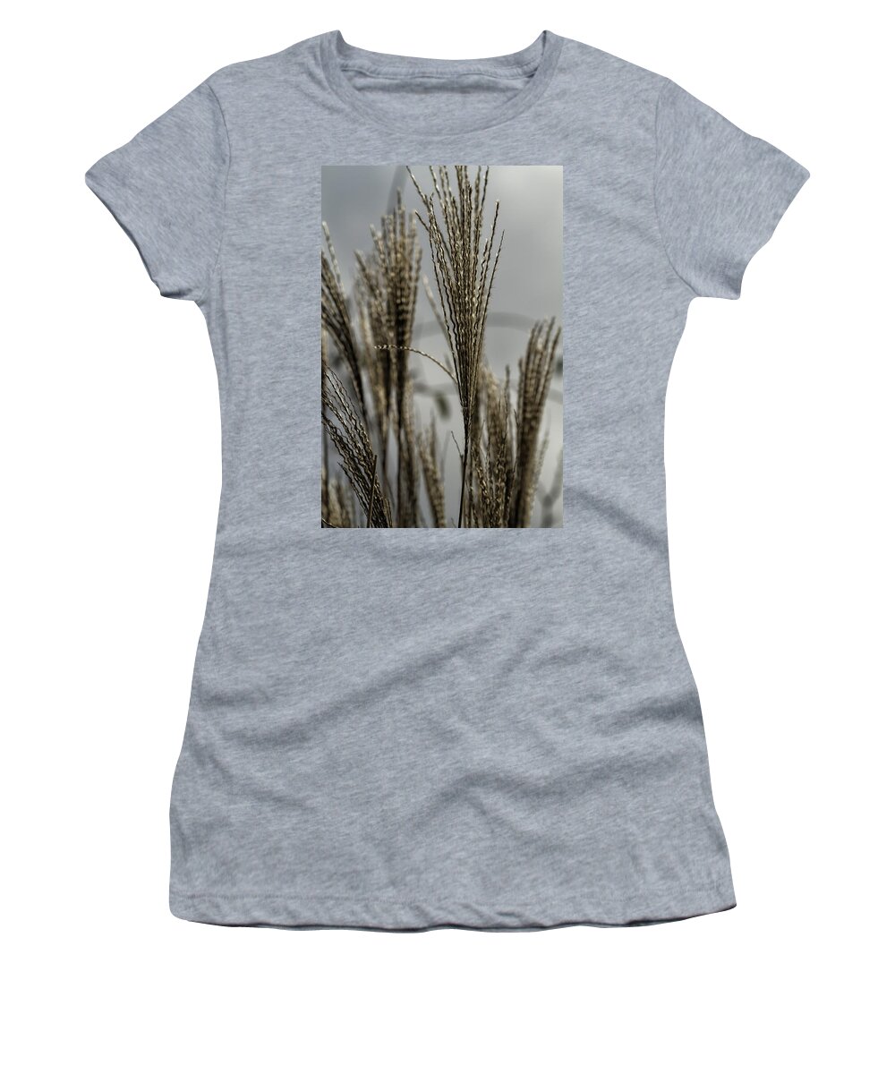 Grass Women's T-Shirt featuring the photograph Grass in Winter Light by Belinda Greb