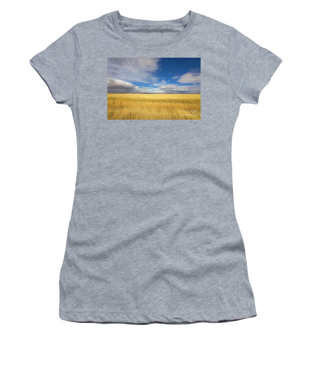 00431182 Women's T-Shirt featuring the photograph Klamath Basin Grasses And Clouds by Yva Momatiuk John Eastcott