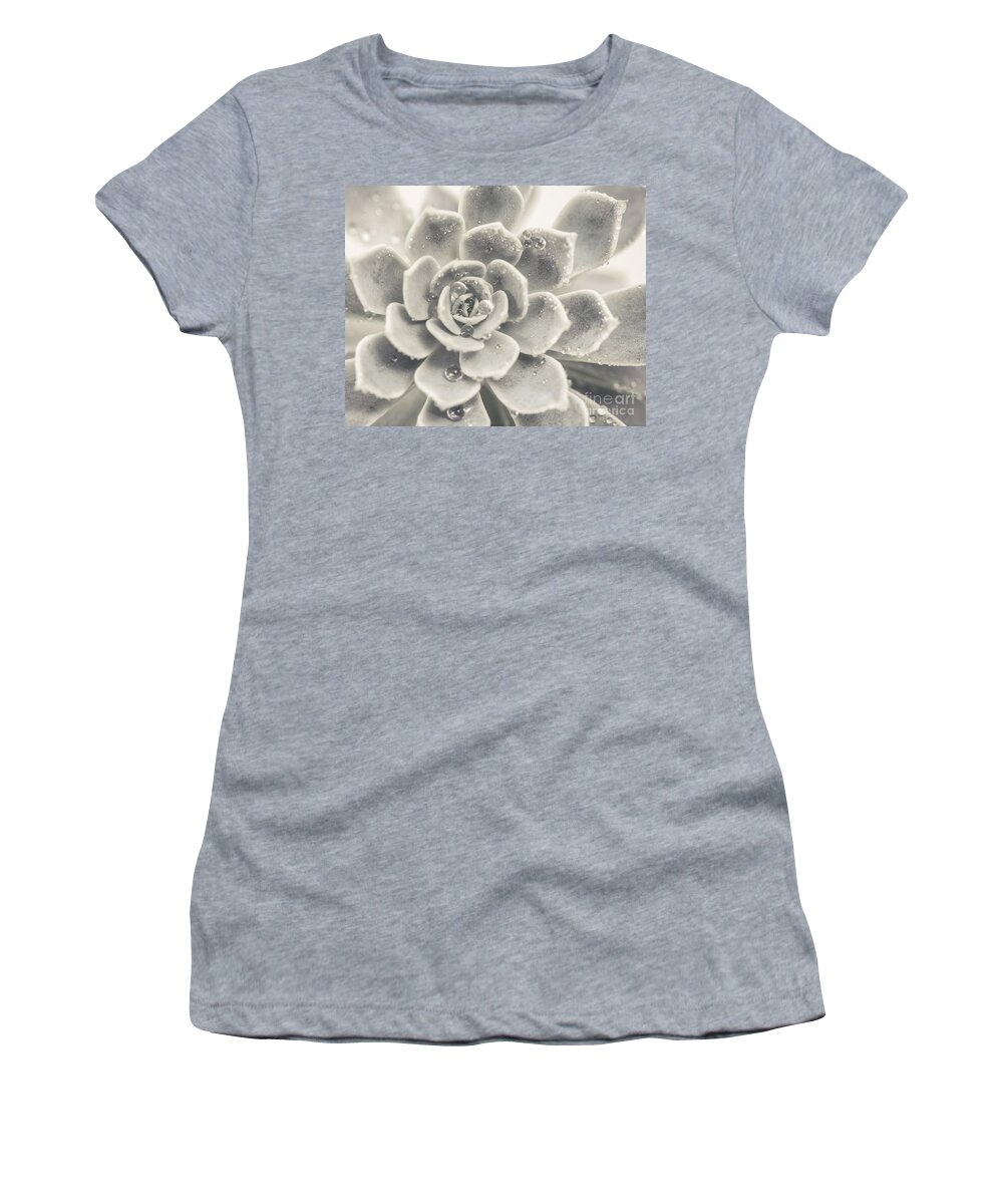 Succulent Women's T-Shirt featuring the photograph Gray Succulent by Lucid Mood