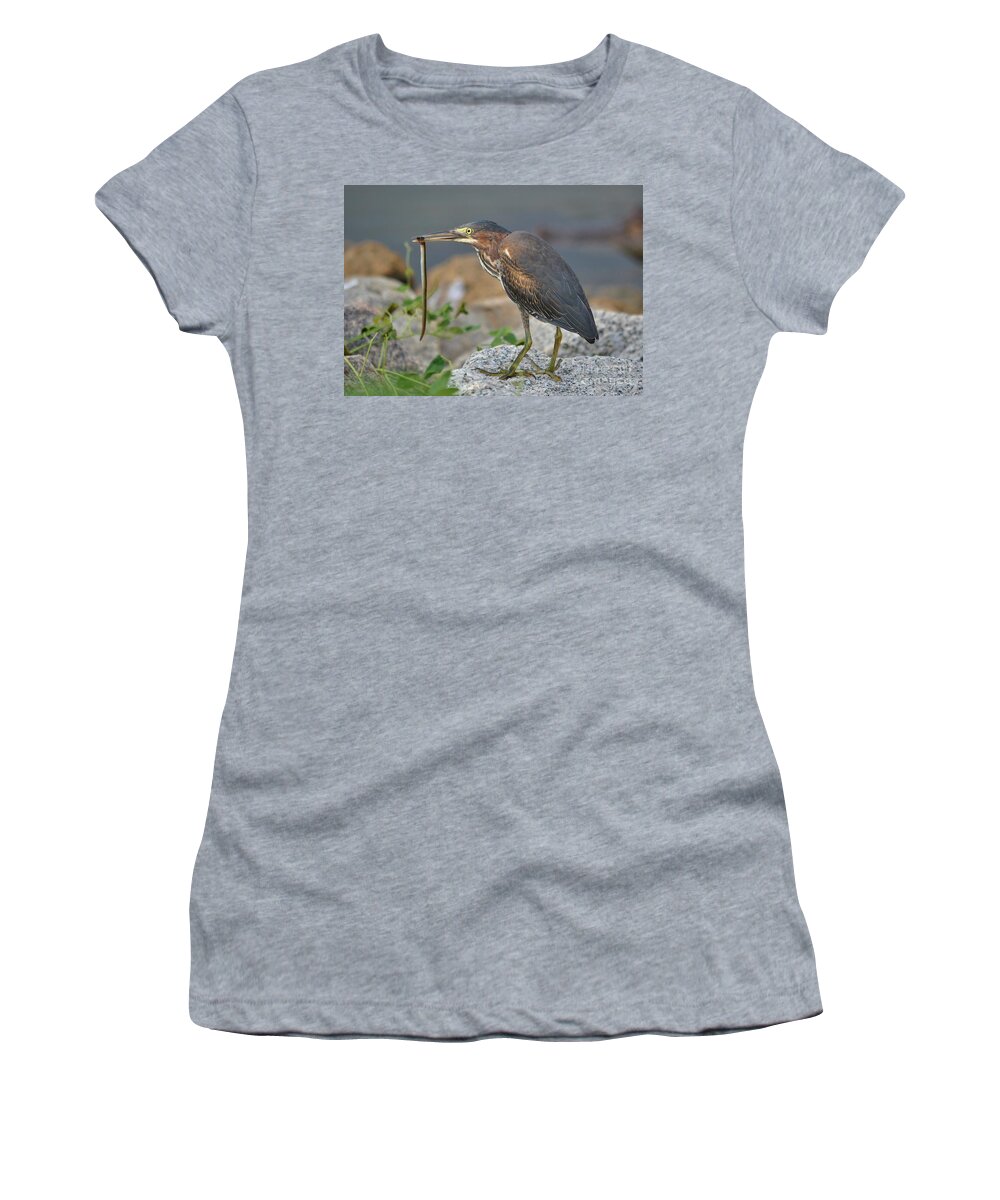 Heron Women's T-Shirt featuring the photograph Green Heron With An Eel Breakfast by Kathy Baccari