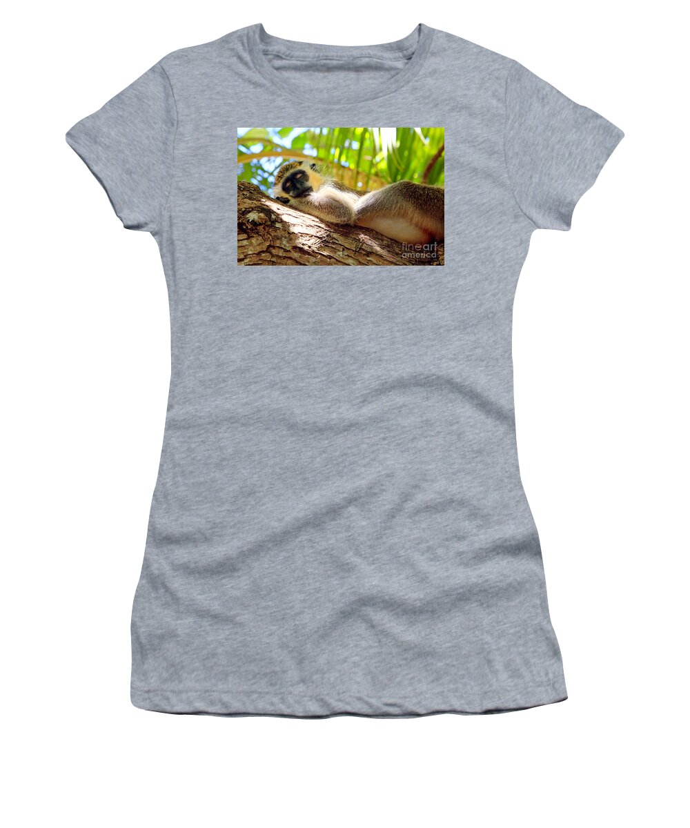Animal Women's T-Shirt featuring the photograph Green monkey sleeping on tree by Matteo Colombo